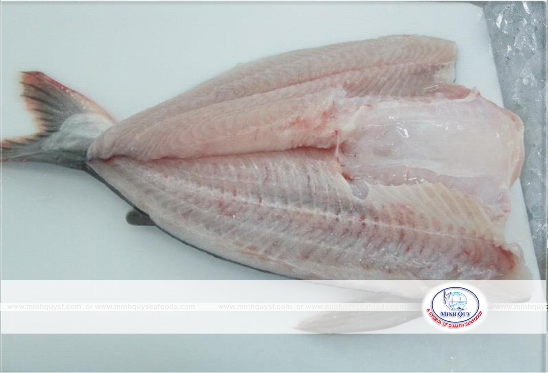 CTY TNHH CHẾ BIẾN THỦY SẢN MINH QUÝ