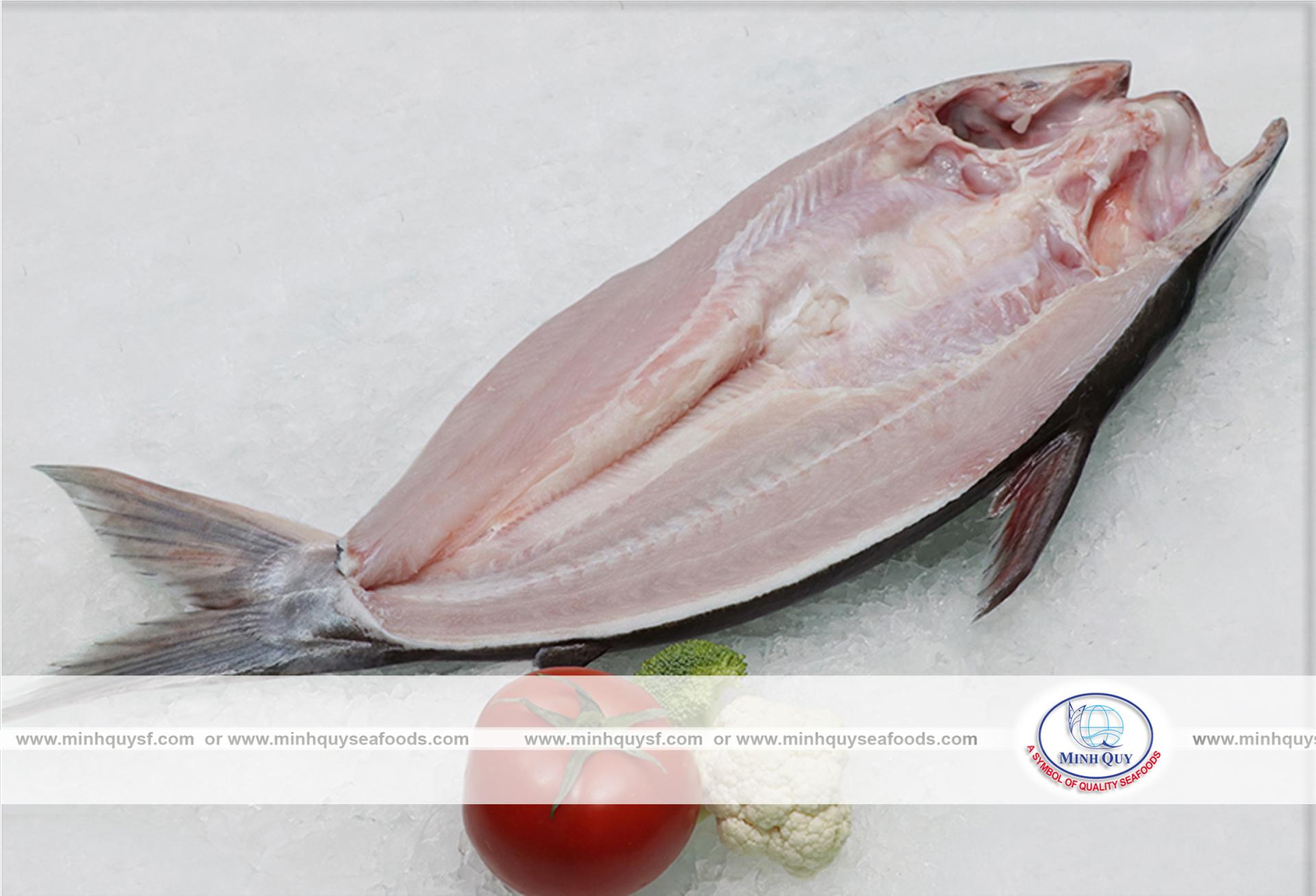 CTY TNHH CHẾ BIẾN THỦY SẢN MINH QUÝ