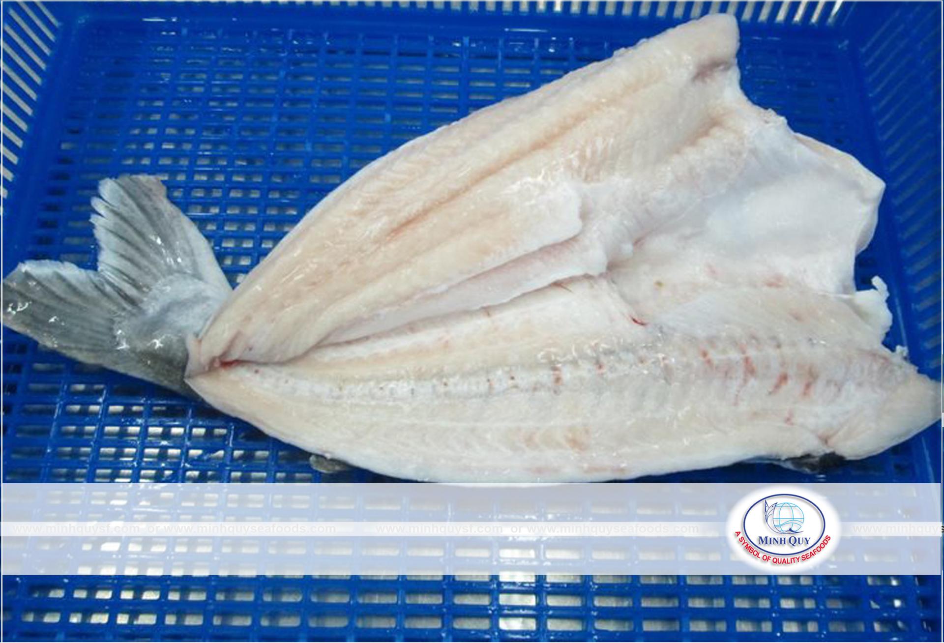 CTY TNHH CHẾ BIẾN THỦY SẢN MINH QUÝ